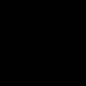 Meet your Posher, Ella